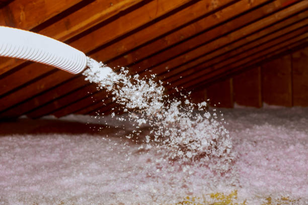 Best Garage Insulation  in Rocklin, CA